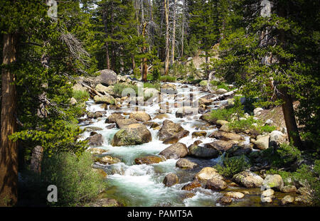 Scenic Dana la fourche de la rivière Tuolumne, une voie d'eau qui coule près de forêt rocheuse Tioga Pass Road in Yosemite National Park Banque D'Images