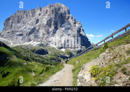 Sassolungo mountain vue d'un chemin de randonnée près de l'extrémité supérieure du téléphérique de Ciampinoi Selva Val Gardena, ci-dessus, Dolomites, Italie Banque D'Images