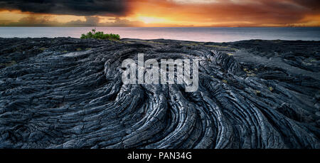 Pahoehoe lava flow, le lever du soleil et l'océan. La Puna Coast, New York. Banque D'Images