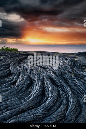 Pahoehoe lava flow, le lever du soleil et l'océan. La Puna Coast, New York. Banque D'Images