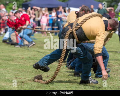 Tomintoul, ÉCOSSE - 21 juillet, 2018 : remorqueur de la guerre à l'événement les jeux des highlands en Ecosse, Tomintoul. Banque D'Images