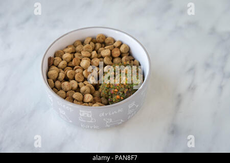 Dans les aliments secs pour chiens bol avec purée de légumes sur le comptoir de la cuisine Banque D'Images