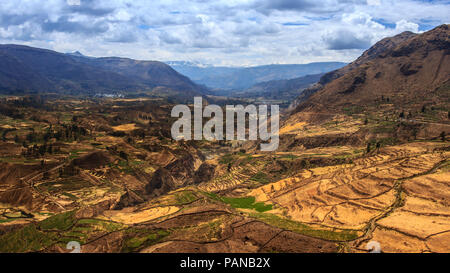 Terrasses agricoles dans la vallée de Colca Banque D'Images