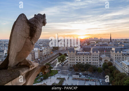 France, Paris, vue depuis Notre Dame de Paris, vue sur la ville au coucher du soleil Banque D'Images