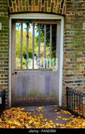 Porte en bois avec des fentes à dans jardin clos à Brockwell Park, Herne Hill South London, UK. Jaune feuilles mortes sur le sol. Portrait. Banque D'Images