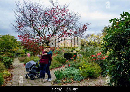 Jeune couple câlin et baiser à côté d'un baby buggy dans jardin clos, au cours de l'automne à Brockwell Park, Herne Hill, South London, UK Banque D'Images