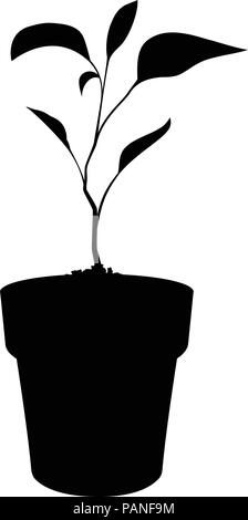 Silhouette noire de la germination plante en pot isolé sur fond blanc . Vector illustration d'ensemencement, icône, signe, modèle de conception. Illustration de Vecteur