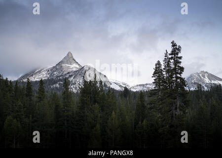 Cône parfait de Cathedral Peak Mountain, extraite du Tioga Pass, à Tuolumne Meadows - Yosemite National Park Banque D'Images