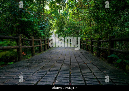 Sentier de marche en pierre naturelle et de clôture dans la jungle tropicale Butik Batok Nature Park, Singapore Banque D'Images