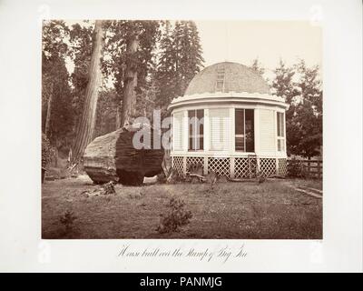 La maison construite sur le moignon d'un grand arbre. Artiste : Carleton E. Watkins (Américain, 1829-1916). Date : 1865-1866, imprimé ca. 1876. Musée : Metropolitan Museum of Art, New York, USA. Banque D'Images