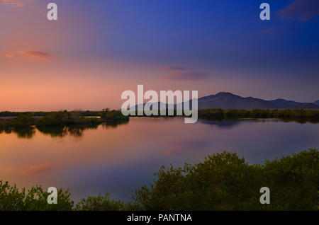 Réserve de mangroves de Khor Kalba pendant le lever du soleil. Banque D'Images