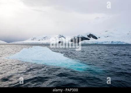 L'antarctique, Péninsule Antarctique, l'iceberg Banque D'Images