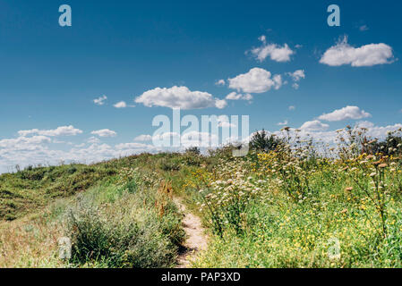 Allemagne, Ruegen, Stove, Moenchgut, sentier du littoral Banque D'Images