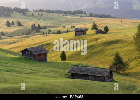 L'Italie, le Tyrol du Sud, l'Alpe di Siusi, granges dans le matin Banque D'Images