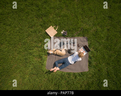 Bird's Eye View of woman lying on blanket sur prairie avec chien using laptop Banque D'Images