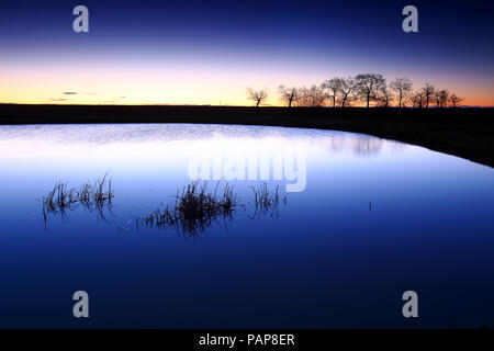 L'Espagne, Castilla y Leon, Province de Zamora, Reserva Natural de Lagunas de Villafafila, lac au coucher du soleil Banque D'Images