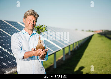 Mature man holding privet, centrale solaire Banque D'Images