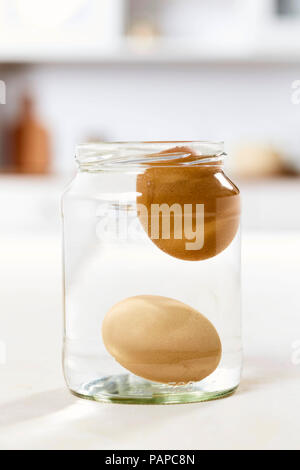 Test de fraîcheur pour les oeufs : Dans un verre d'eau froide l'oeuf frais va se coucher sur le grund, l'ancienne flotte d'oeufs dans l'eau sans toucher le sol. Allemagne Banque D'Images