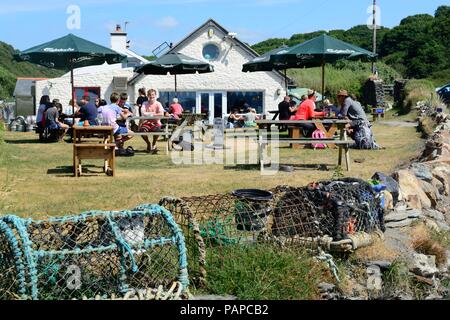 Les vieux marins Pub Restaurant Pwllgwaelod Dinas Cross Newport Wales Cymru UK Banque D'Images