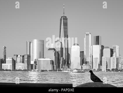 Photo noir et blanc d'un pigeon silhouette floue avec Manhattan en arrière-plan, vu depuis le New Jersey, New York, USA. Banque D'Images