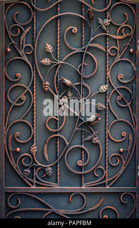 Beaux éléments métalliques décoratifs faux portes en fer forgé. Banque D'Images