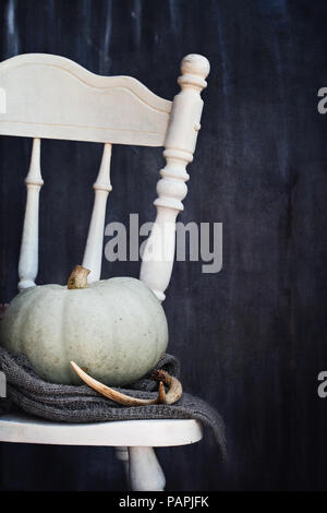 Grand heirloom potiron avec écharpe d'hiver et bois de cerf sur un vieux pays chaise blanche sur un fond sombre pour le jour d'action de grâce ou de l'Halloween. Banque D'Images