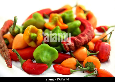 Mélange de couleurs fraîches hot chili peppers sur fond blanc Banque D'Images