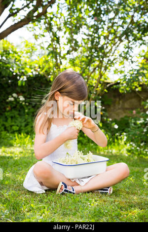 Little girl sitting on meadow dans le jardin avec bol de choisi elderflowers Banque D'Images