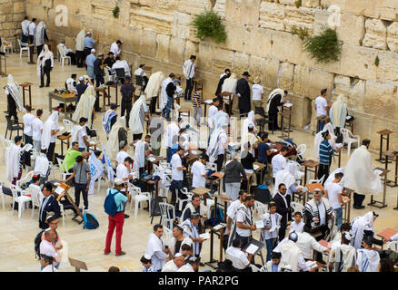 10 mai 2018 hommes juifs de châles de prière et phylactères prier ardemment vers le lieu saint traditionnel au mur occidental à Jérusalem Israël Banque D'Images