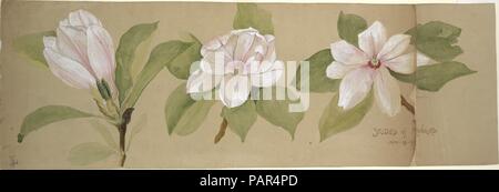 Études des magnolias. Artiste : Tiffany & Co. (1837-présent). Culture : L'Américain. Dimensions : hors tout : 6 13/16 x 20 1/8 in. (17,3 x 51,1 cm) Design : 6 13/16 x 18 13/16 in. (17,3 x 47,8 cm). Date : 1891. Musée : Metropolitan Museum of Art, New York, USA. Banque D'Images