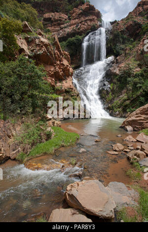 Witpoortjie Cascade, Walter Sisulu National Botanical Garden, Johannesburg, Gauteng, Afrique du Sud Banque D'Images