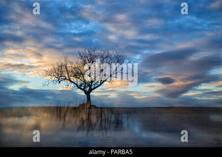 L'Espagne, Castilla y Leon, Province de Zamora, Reserva Natural de Lagunas de Villafafila, lac au coucher du soleil Banque D'Images