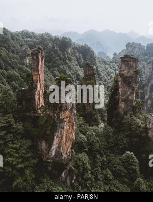 Vue paysage épique de piliers de pierre dans le parc forestier national de Zhangjiajie Hunan, Chine Banque D'Images