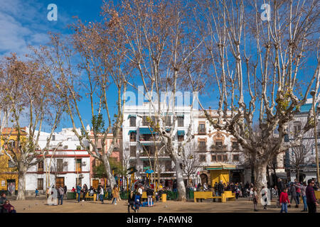 Alameda de Hercules, city square, Séville, Espagne, Europe Banque D'Images