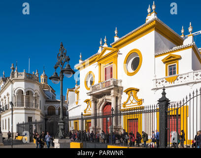 Maestranza, la Plaza de Toros de la Torres de de Sevilla, Séville, Espagne, Europe - Arènes Banque D'Images