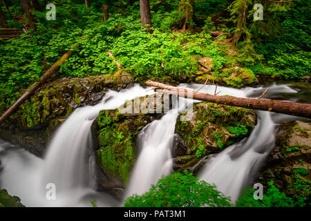 Sol Duc falls in Olympic National Park, Washington, USA. Banque D'Images