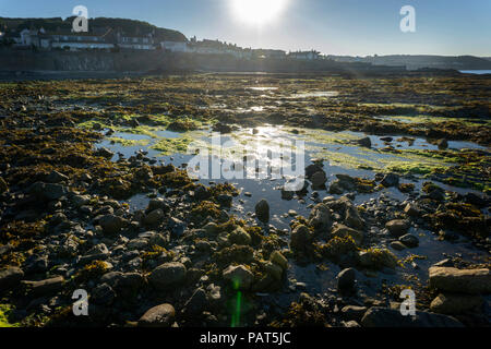 Des rochers à marée basse dans la baie du Mont Banque D'Images