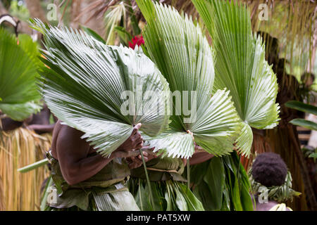 La Mélanésie, Vanuatu, l'île de Lo, les femmes portent des feuilles de frondes dans village cultural performance. Banque D'Images