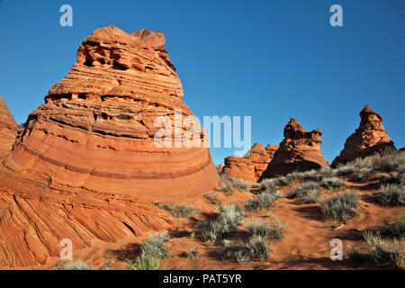 AZ00179-00...ARIZONA - ruche à buttes près du trou de la patte Point d'accès pour le Coyote Buttes South section du Vermillion Cliffs Mon National Banque D'Images