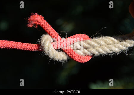 Noeud de tisserand sur deux cordes de différentes couleurs. Banque D'Images