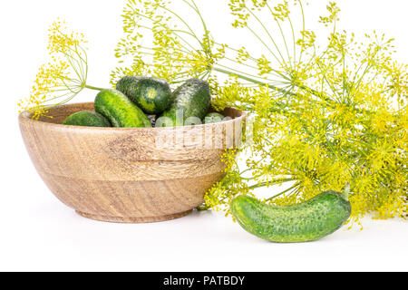 De nombreuses fleurs jaune frais entier de l'aneth avec un bol en bois plein de concombres isolated on white Banque D'Images