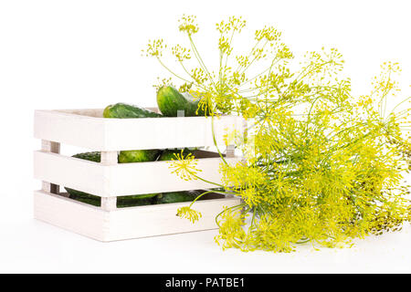 Beaucoup d'aneth frais entier avec des fleurs jaunes une caisse en bois pleine de concombres isolated on white Banque D'Images