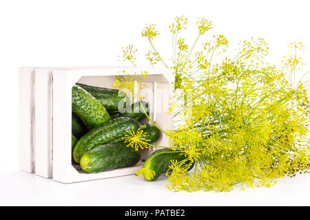 De nombreuses fleurs jaune frais entier de l'aneth et des caisses en bois plein de concombres isolated on white Banque D'Images