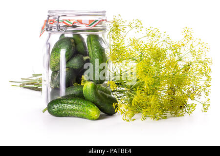 De nombreuses fleurs jaune frais entier de l'aneth avec un verre pot plein de concombres isolated on white Banque D'Images