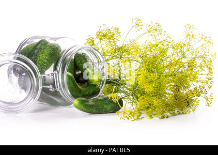 Beaucoup d'aneth frais entier et fleurs jaunes en verre ouverte pot plein de concombres isolated on white Banque D'Images