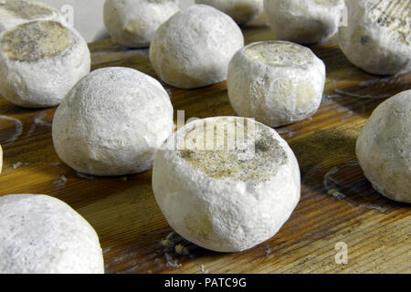 De bonne maturité fromages de chèvre et de brebis Banque D'Images