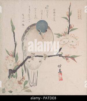 La Pluie de printemps Collection (Harusame shu), tome 3 : Dove Mountain et fleurs de pêchers. Artiste : Teisai Hokuba (japonais, 1771-1844). Culture : le Japon. Dimensions : 8 1/4 x 7 7/16 in. (21 x 18,9 cm). Date : ca. 1820. Surimono sont des estampes publiées, généralement commandées par des poètes ou des groupes de la poésie comme une forme de carte de vœux du Nouvel An. Les poèmes, le plus souvent kyoka (witty trente et une syllabe verset), inscrits sur les impressions comprennent généralement l'imagerie heureuse connecté avec le printemps, qui dans le calendrier lunaire commence le premier jour du premier mois. Thèmes des surimono sont ofte Banque D'Images