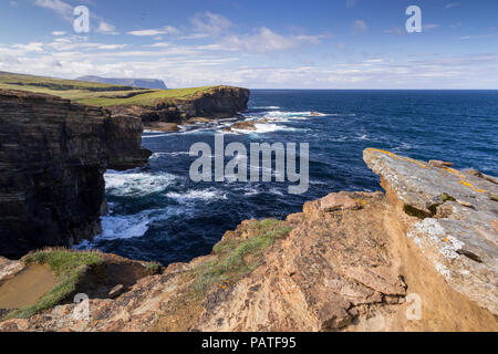 Falaises Yesnaby, Orkney, Scotland Banque D'Images