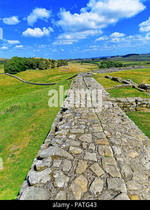 Fort romain de Housesteads et mur romain face à l'Est Banque D'Images