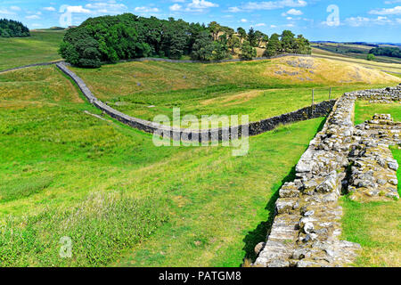 Fort romain de Housesteads et mur romain face à l'Est Banque D'Images